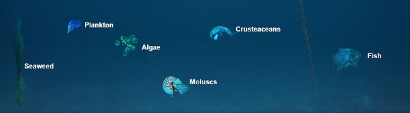 marine-world